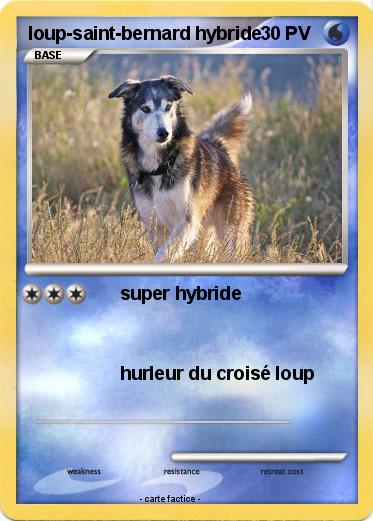 Pokemon loup-saint-bernard hybride