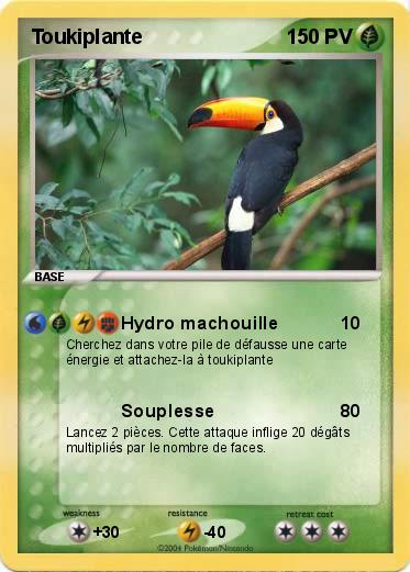 Pokemon Toukiplante