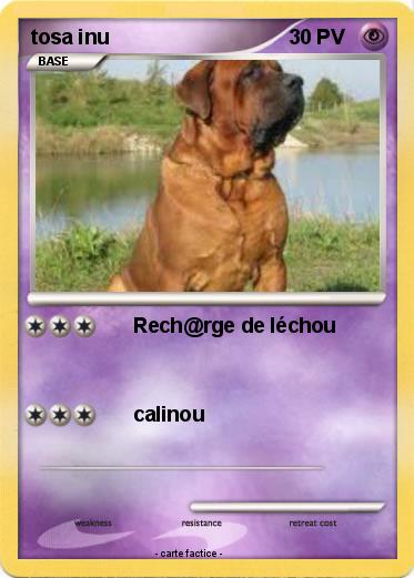 Pokemon tosa inu