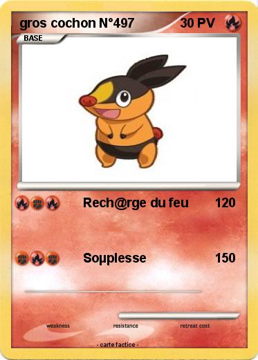 Pokemon gros cochon N°497
