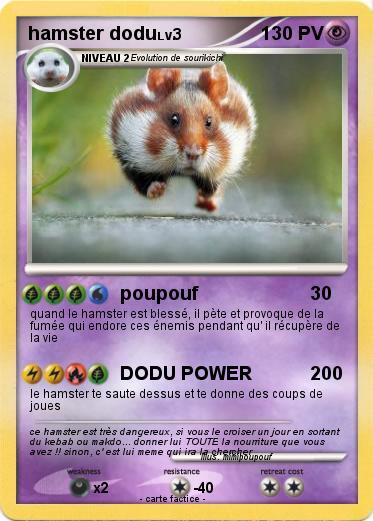 Pokemon hamster dodu