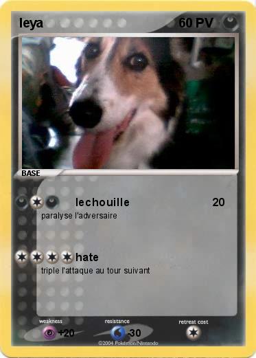 Pokemon leya