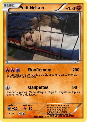 Pokemon Petit Nelson