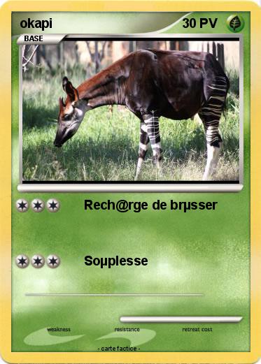 Pokemon okapi