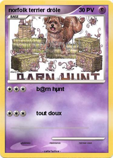 Pokemon norfolk terrier drôle