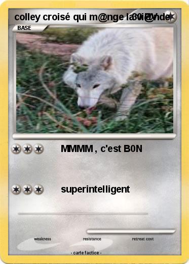Pokemon colley croisé qui m@nge la vi@nde