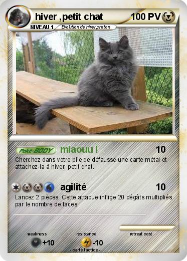 Pokemon hiver ,petit chat