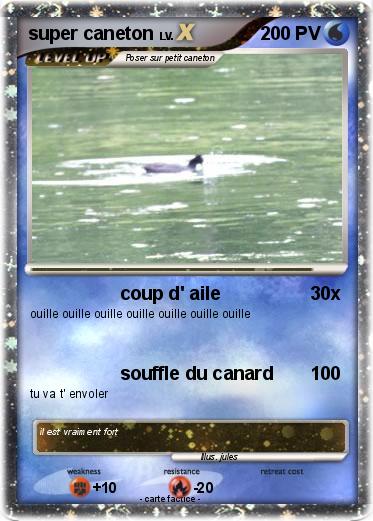 Pokemon super caneton