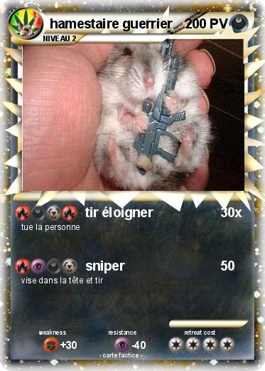 Pokemon hamestaire guerrier