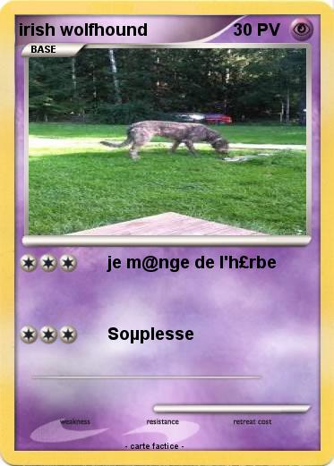 Pokemon irish wolfhound