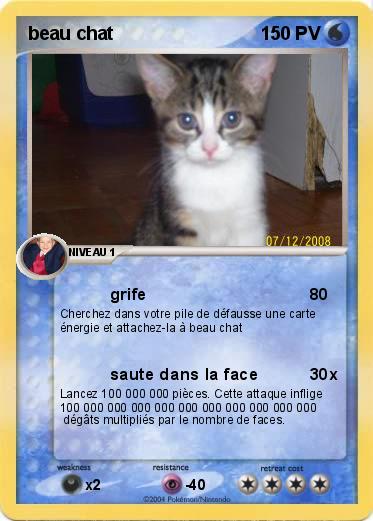 Pokemon beau chat
