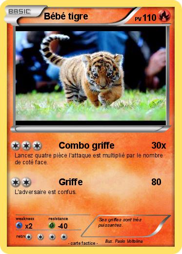 Pokemon Bébé tigre