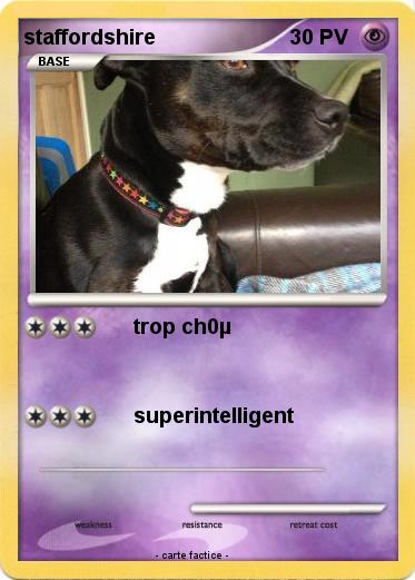 Pokemon staffordshire