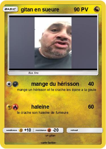 Pokemon gitan en sueure