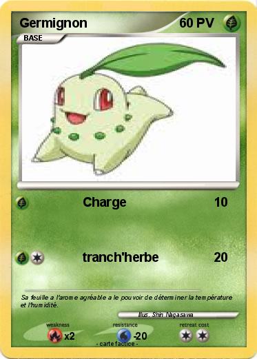 Pokemon Germignon