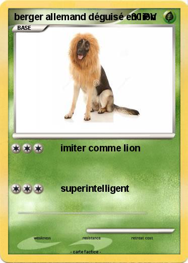 Pokemon berger allemand déguisé en lion
