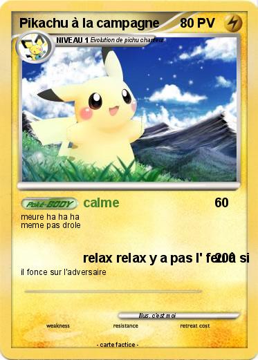 Pokemon Pikachu à la campagne