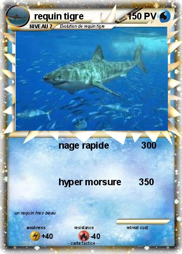 Pokemon requin tigre