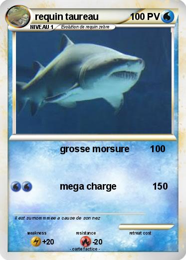 Pokemon requin taureau