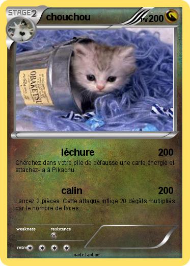 Pokemon chouchou