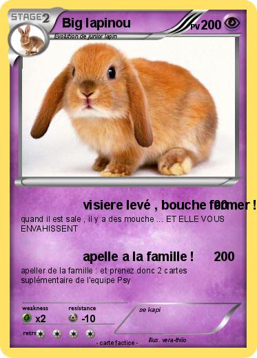 Pokemon Big lapinou