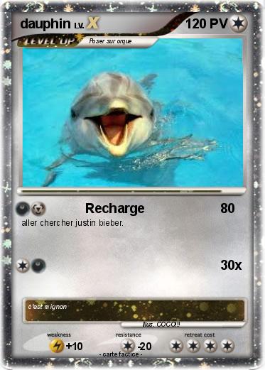 Pokemon dauphin