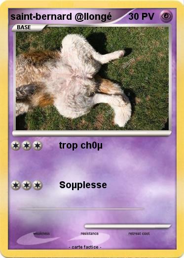 Pokemon saint-bernard @llongé