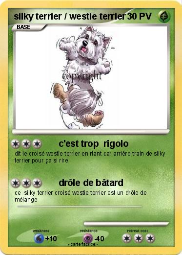 Pokemon silky terrier / westie terrier