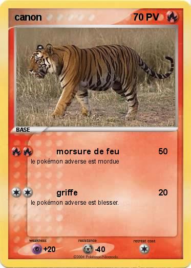 Pokemon canon