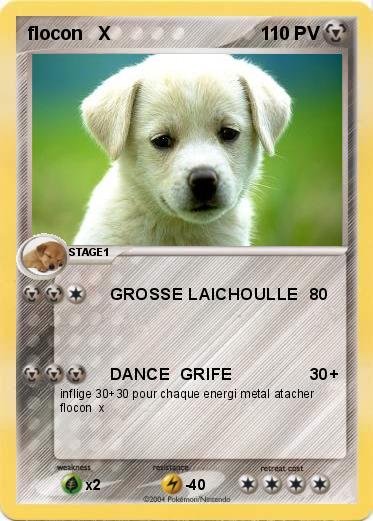 Pokemon flocon   X