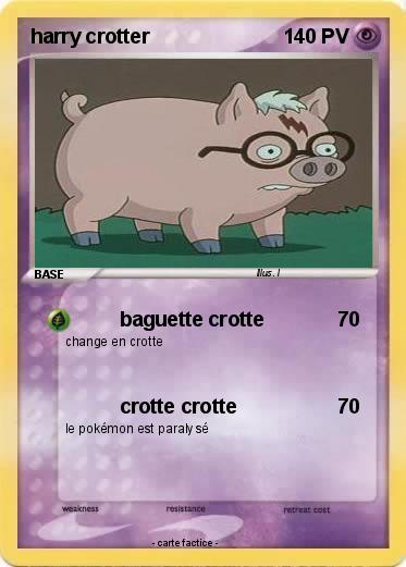 Pokemon harry crotter