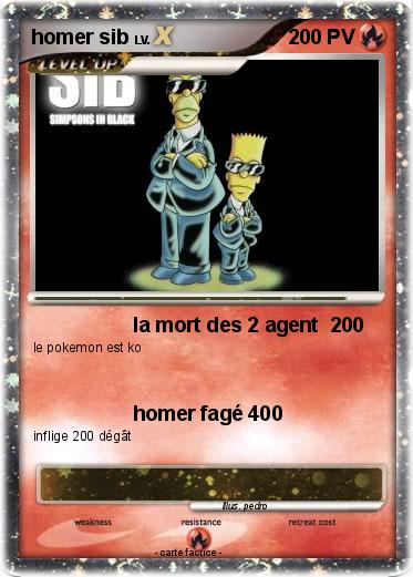 Pokemon homer sib