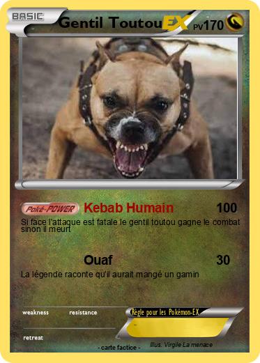 Pokemon Gentil Toutou