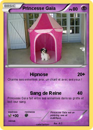 Pokemon Princesse Gaïa