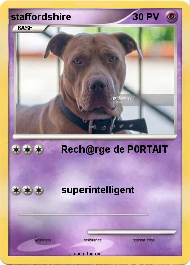 Pokemon staffordshire