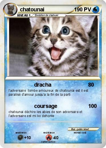 Pokemon chatounai