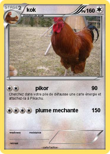 Pokemon kok