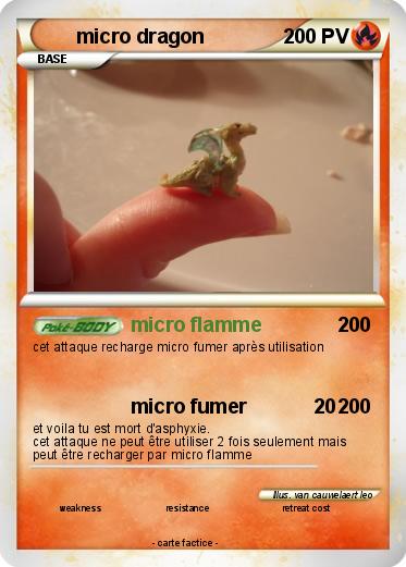Pokemon micro dragon