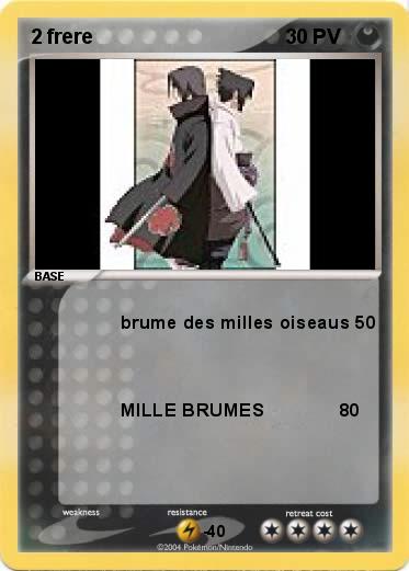 Pokemon 2 frere