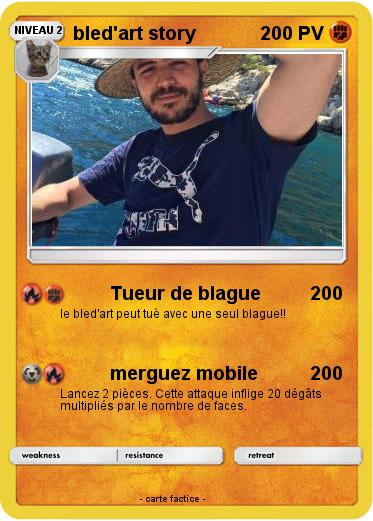 Pokemon bled'art story