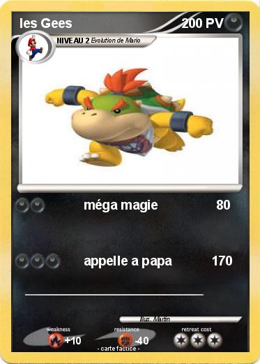 Pokemon les Gees