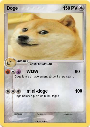 Pokemon Doge