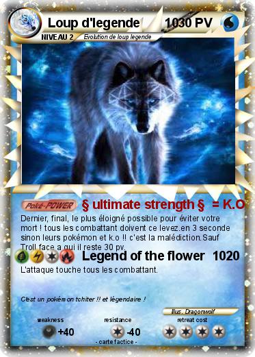 Pokemon Loup d'legende       10