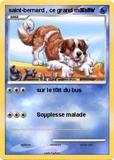 Pokemon saint-bernard , ce grand malade