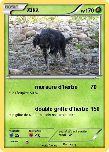 Pokemon atika
