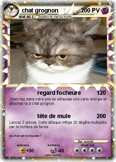 Pokemon chat grognon