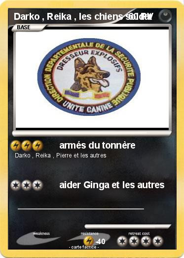 Pokemon Darko , Reika , les chiens soldat