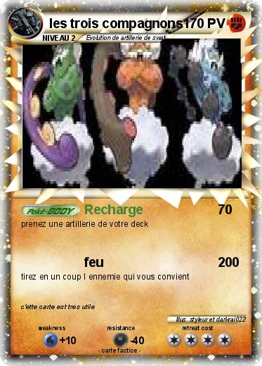 Pokemon les trois compagnons