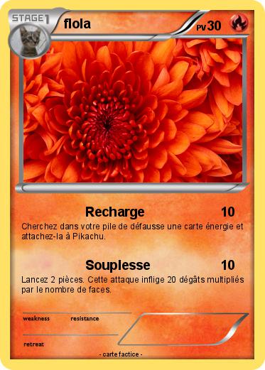 Pokemon flola