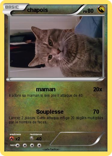 Pokemon chapois